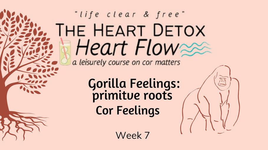 Gorilla Feelings Chart