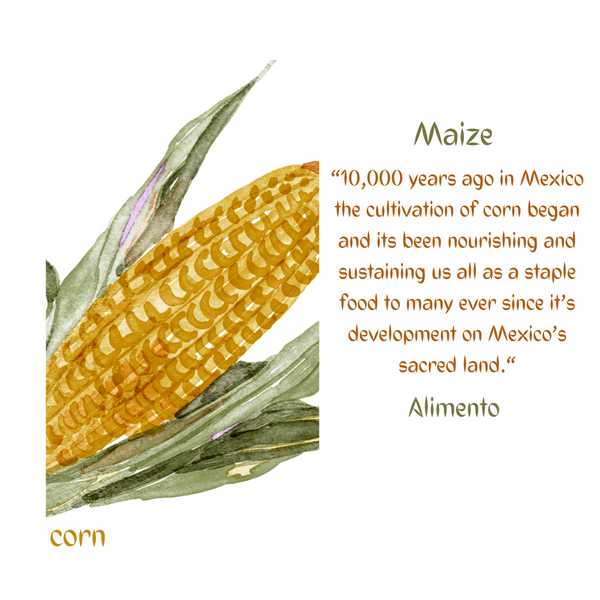 The House of Corn, Wheat & Dreams
